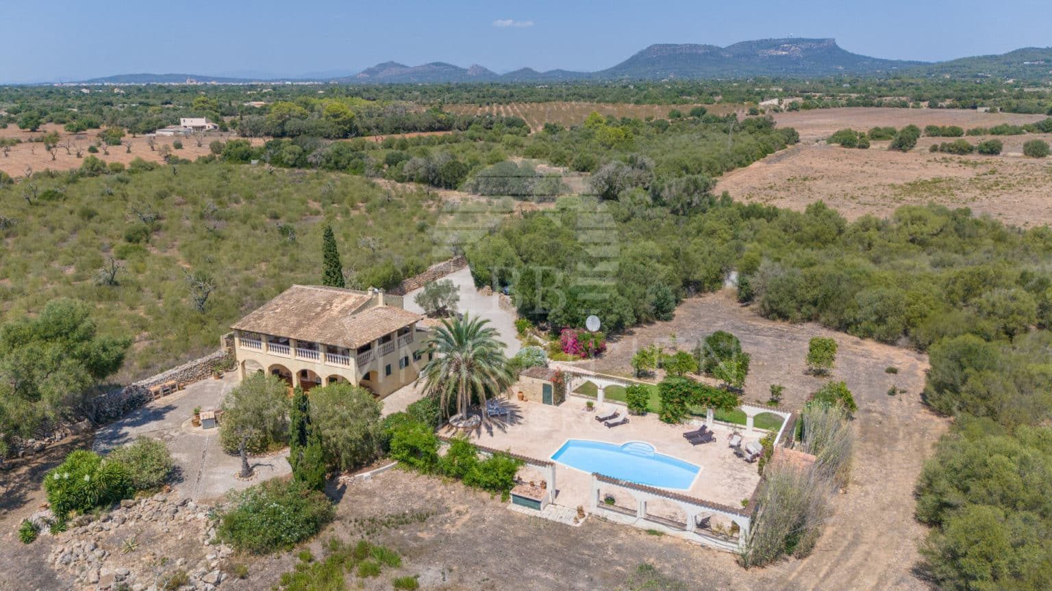 Idyllic finca with large pool & well - 1