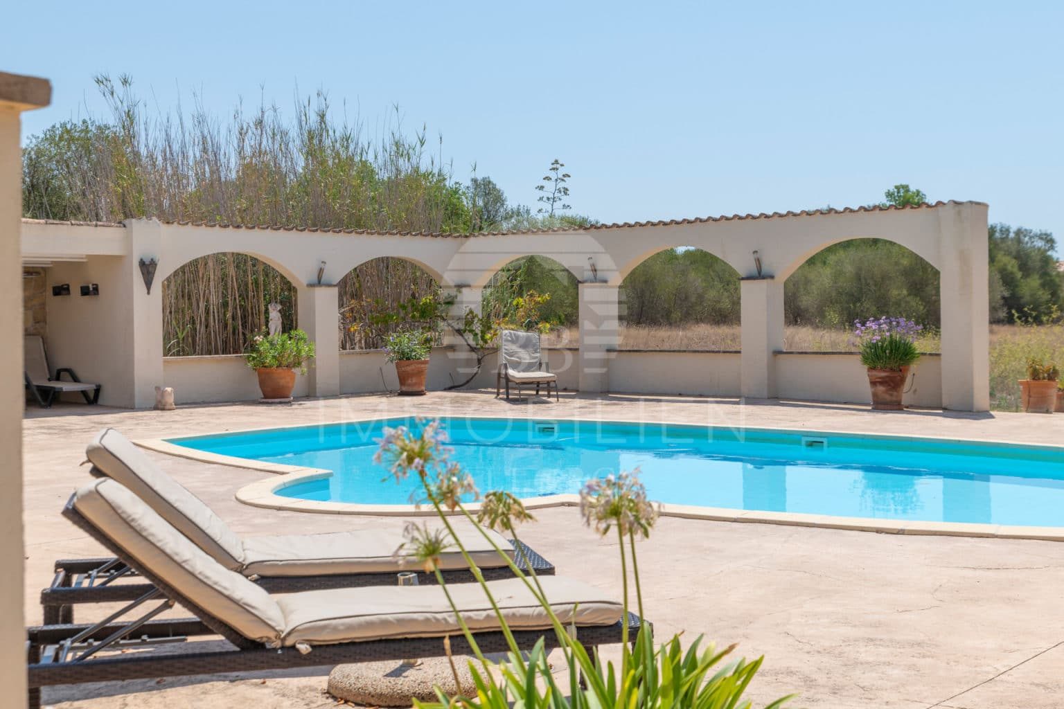 Idyllic finca with large pool & well 4